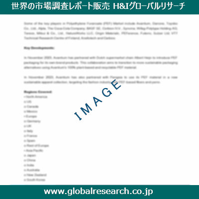 市場調査レポートのイメージ