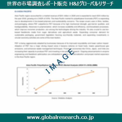 市場調査レポートのイメージ