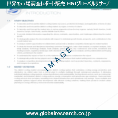 市場調査レポートのイメージ
