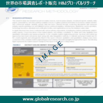 市場調査レポートのイメージ
