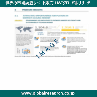 市場調査レポートのイメージ