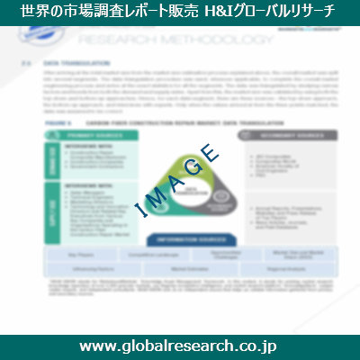 市場調査レポートのイメージ
