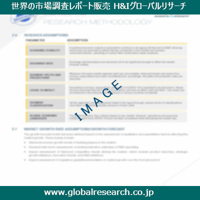 市場調査レポートのイメージ