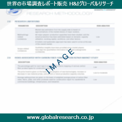 市場調査レポートのイメージ
