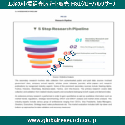 市場調査レポートのイメージ