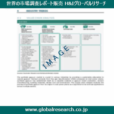 市場調査レポートのイメージ