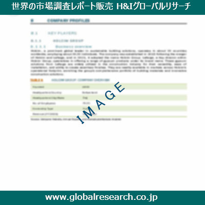 市場調査レポートのイメージ