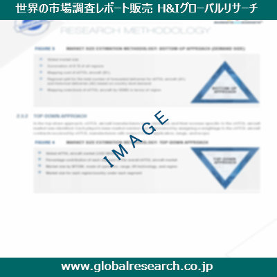 市場調査レポートのイメージ