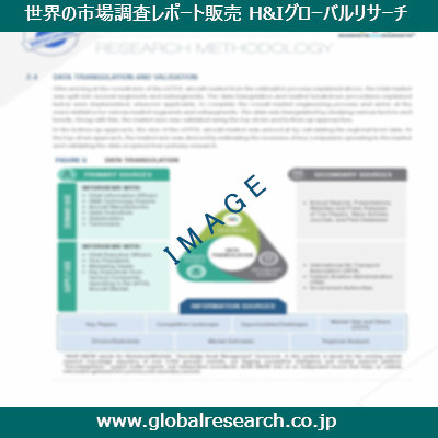 市場調査レポートのイメージ