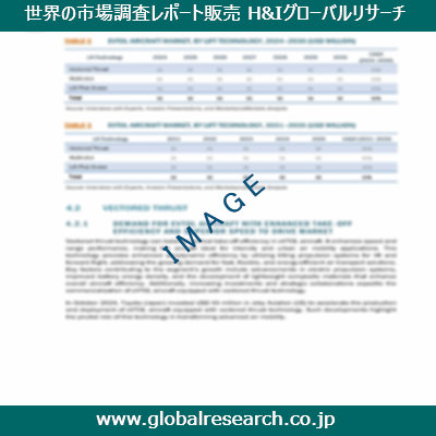 市場調査レポートのイメージ