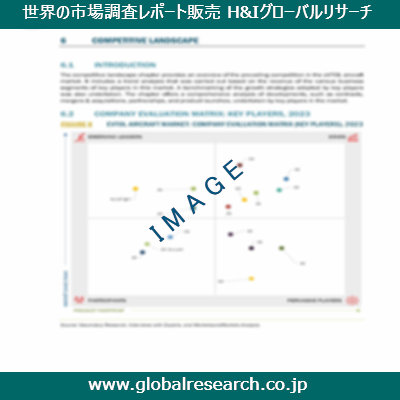 市場調査レポートのイメージ