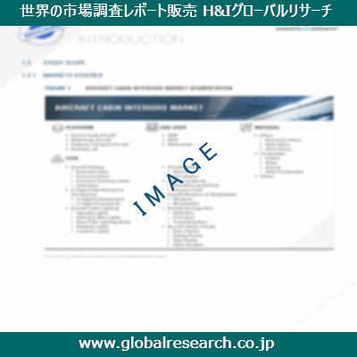 市場調査レポートのイメージ
