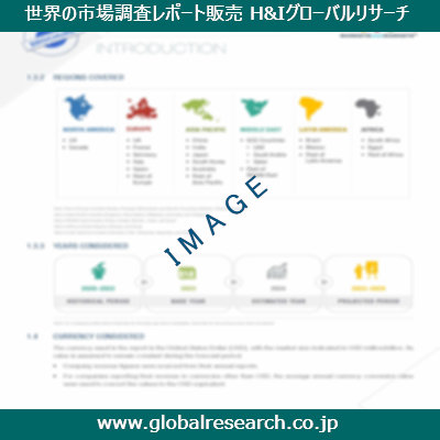 市場調査レポートのイメージ