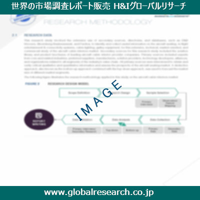 市場調査レポートのイメージ