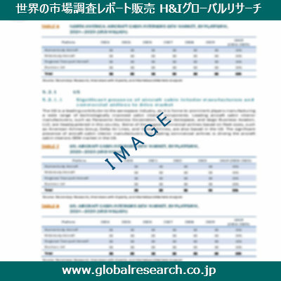 市場調査レポートのイメージ