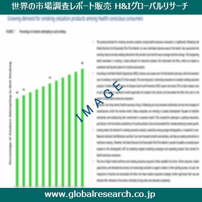 市場調査レポートのイメージ