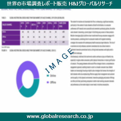 市場調査レポートのイメージ