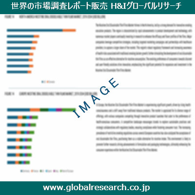 市場調査レポートのイメージ