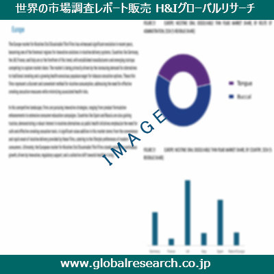 市場調査レポートのイメージ
