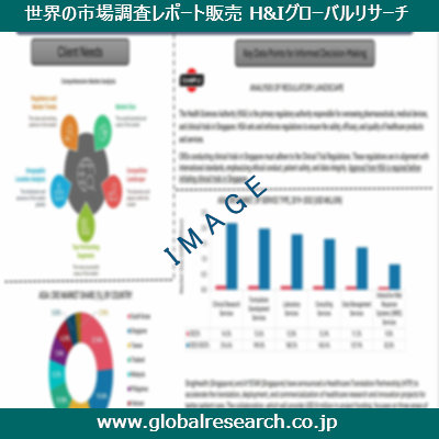 市場調査レポートのイメージ