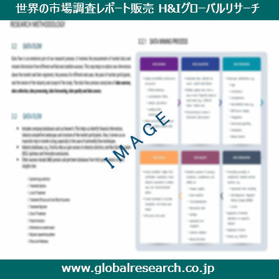 市場調査レポートのイメージ