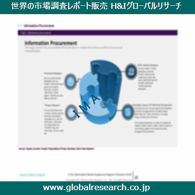 市場調査レポートのイメージ