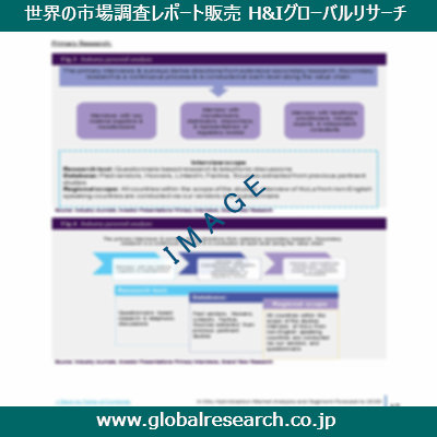 市場調査レポートのイメージ