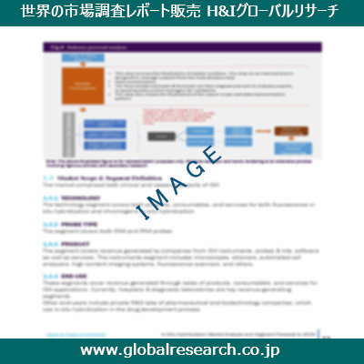 市場調査レポートのイメージ