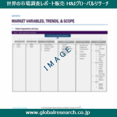 市場調査レポートのイメージ