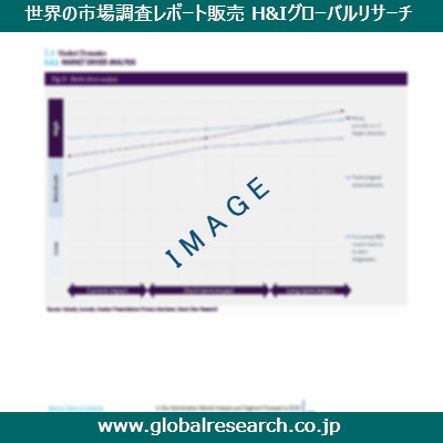市場調査レポートのイメージ