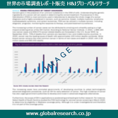 市場調査レポートのイメージ