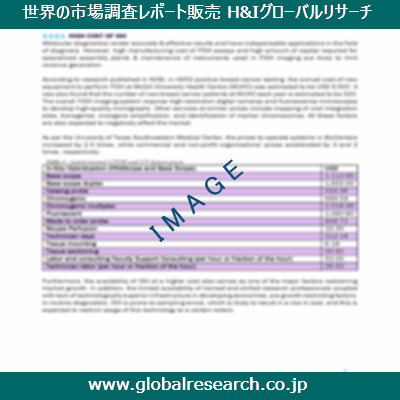 市場調査レポートのイメージ