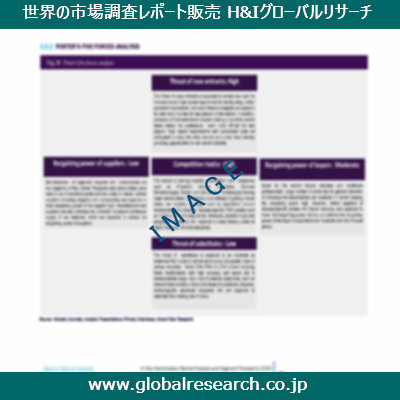 市場調査レポートのイメージ