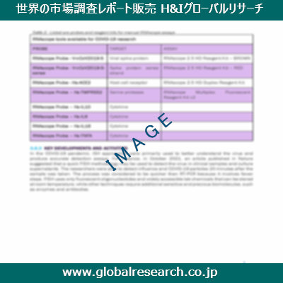 市場調査レポートのイメージ