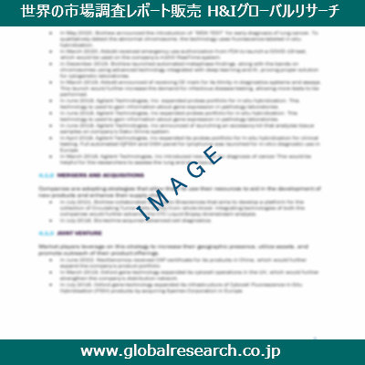 市場調査レポートのイメージ