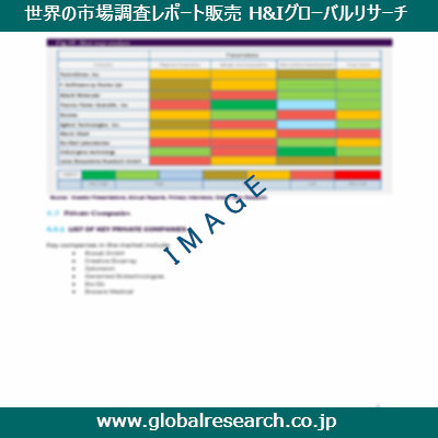 市場調査レポートのイメージ