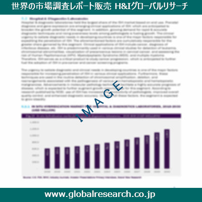 市場調査レポートのイメージ