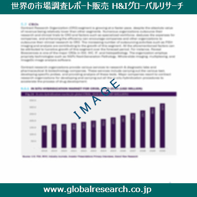 市場調査レポートのイメージ
