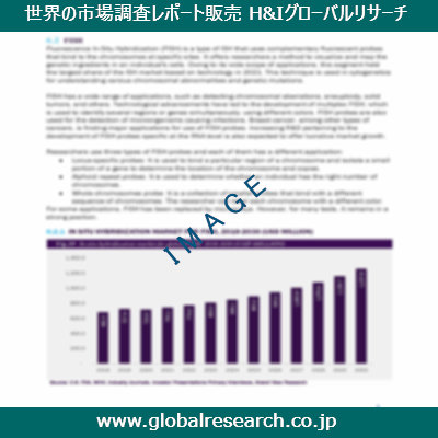市場調査レポートのイメージ