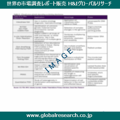 市場調査レポートのイメージ