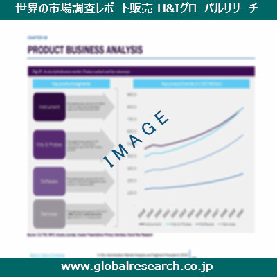 市場調査レポートのイメージ