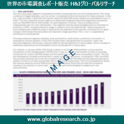 市場調査レポートのイメージ