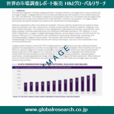 市場調査レポートのイメージ