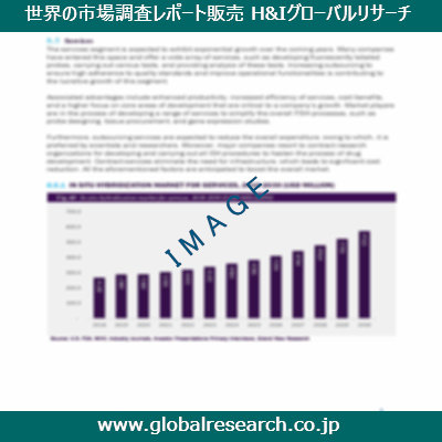 市場調査レポートのイメージ
