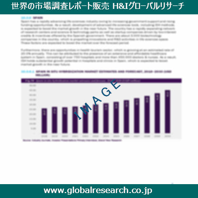 市場調査レポートのイメージ
