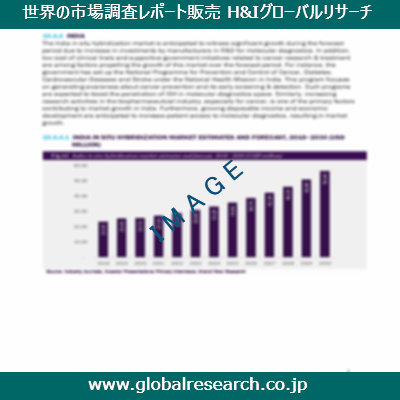 市場調査レポートのイメージ