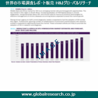 市場調査レポートのイメージ
