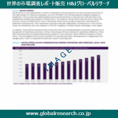 市場調査レポートのイメージ