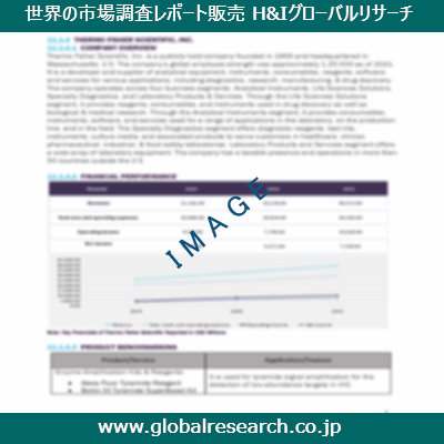 市場調査レポートのイメージ