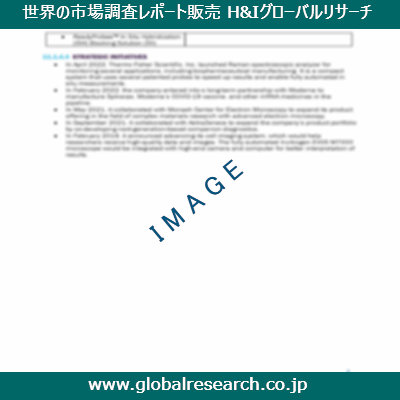 市場調査レポートのイメージ